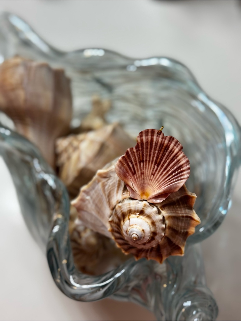 Pink Sunrise Flat Scallop Shell Pendant
